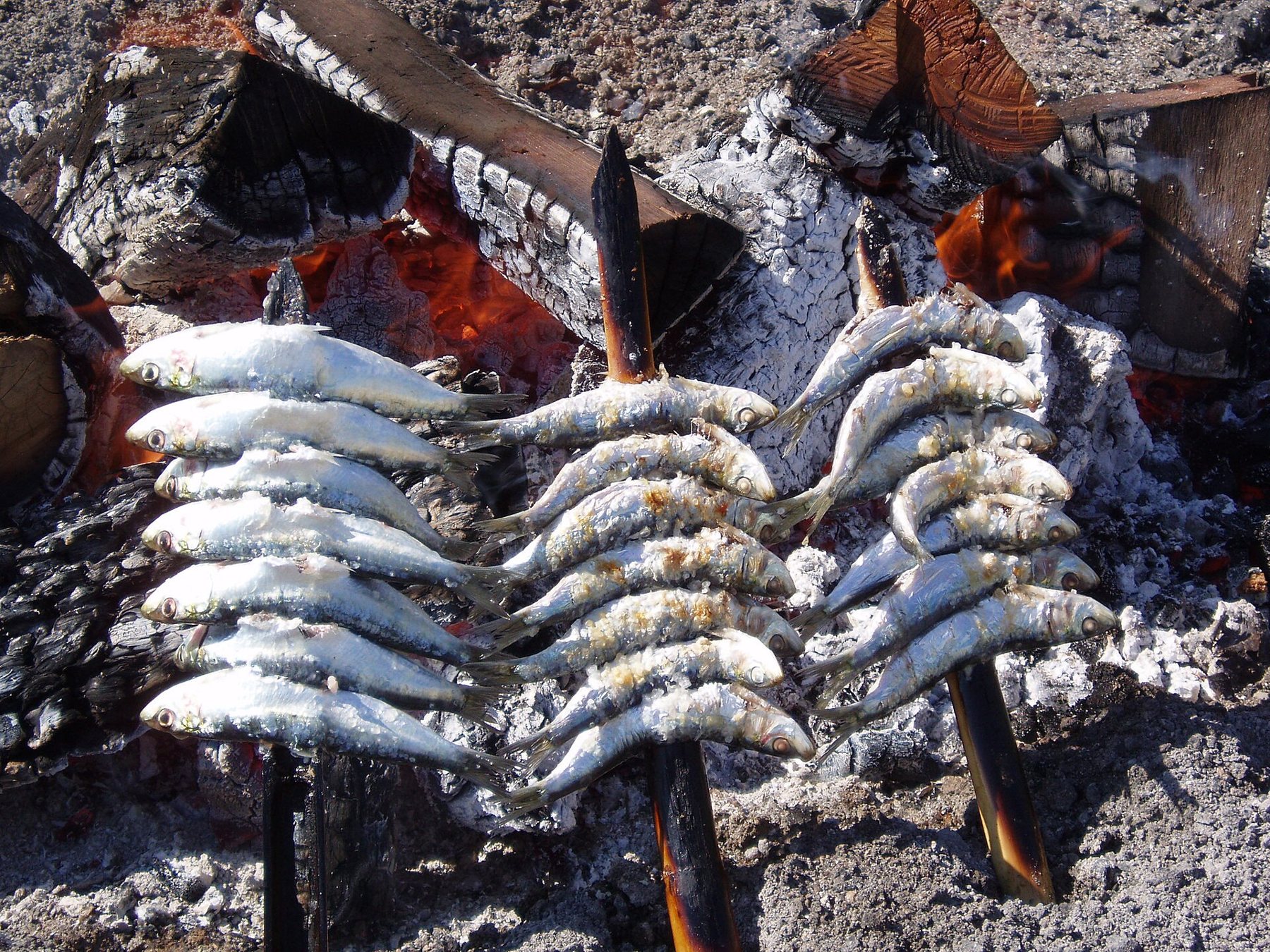 Espetos – sardiner på spyd over gløderne på stranden. Foto: gildemax, CC BY-SA 2.5